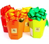 Шоколадные конфеты AYSUDA  “Sunly” Ассорти в подарочной упаковке 250гр  